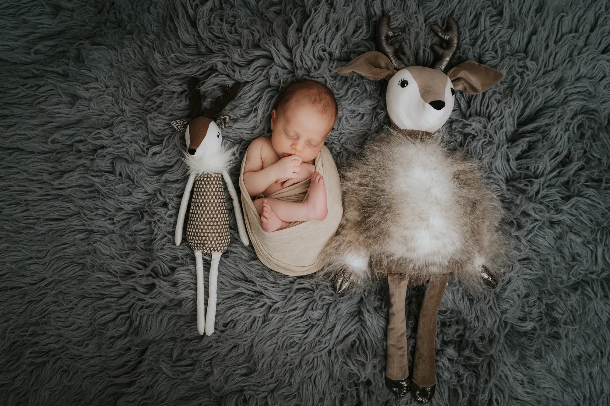 neugeborene-shooting-kuscheltier-tirol-innsbruck-baby-foto
